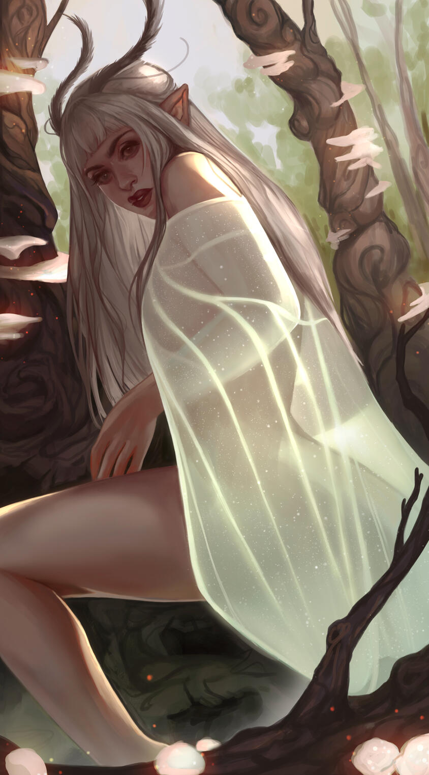 White Tiger Moth White Tiger Moth